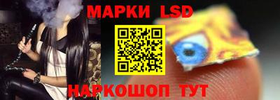 стаф Кандалакша