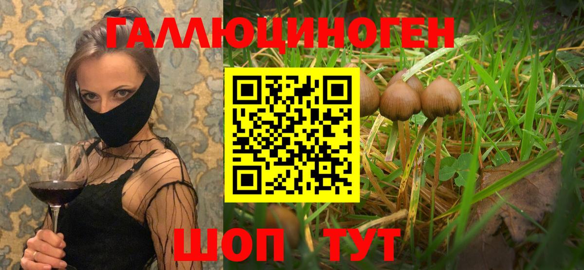 Псилоцибиновые грибы мицелий  Вход с VPN  Холмск 